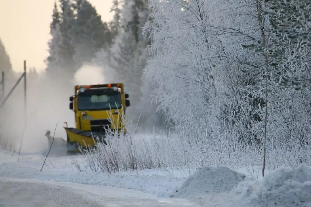 Déneigeuse en action dans une forêt enneigée