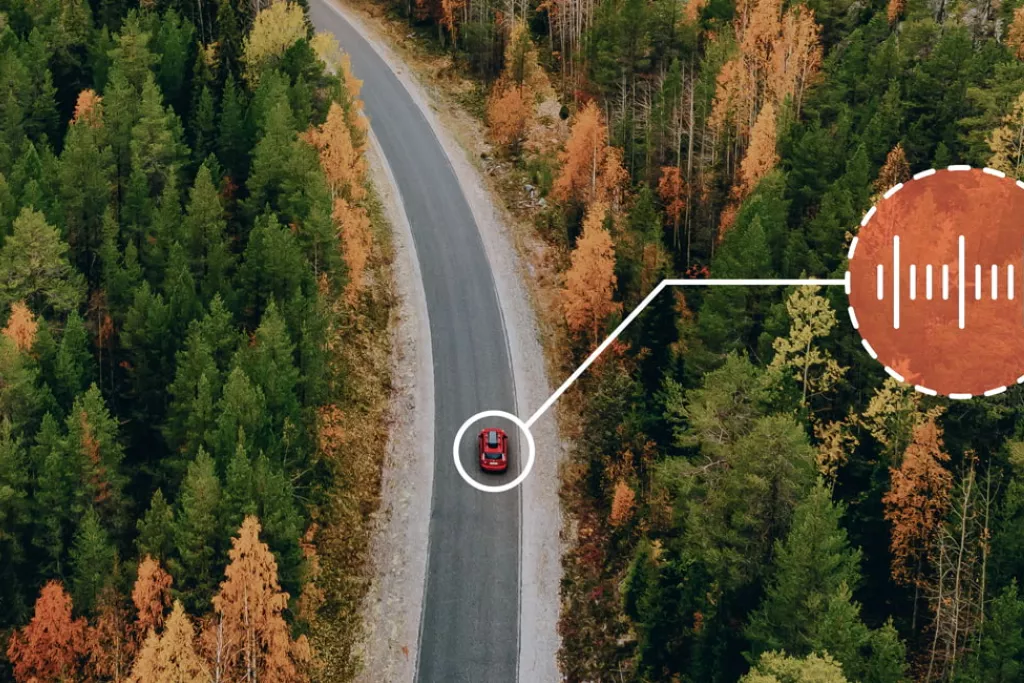 Forêt avec une route entre les deux et une voiture rouge avec un sigle de vocal