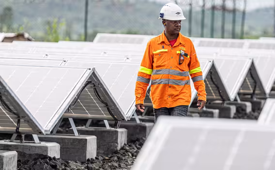 Madagascar ambokatra