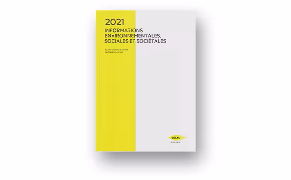 Publication RSE 2021