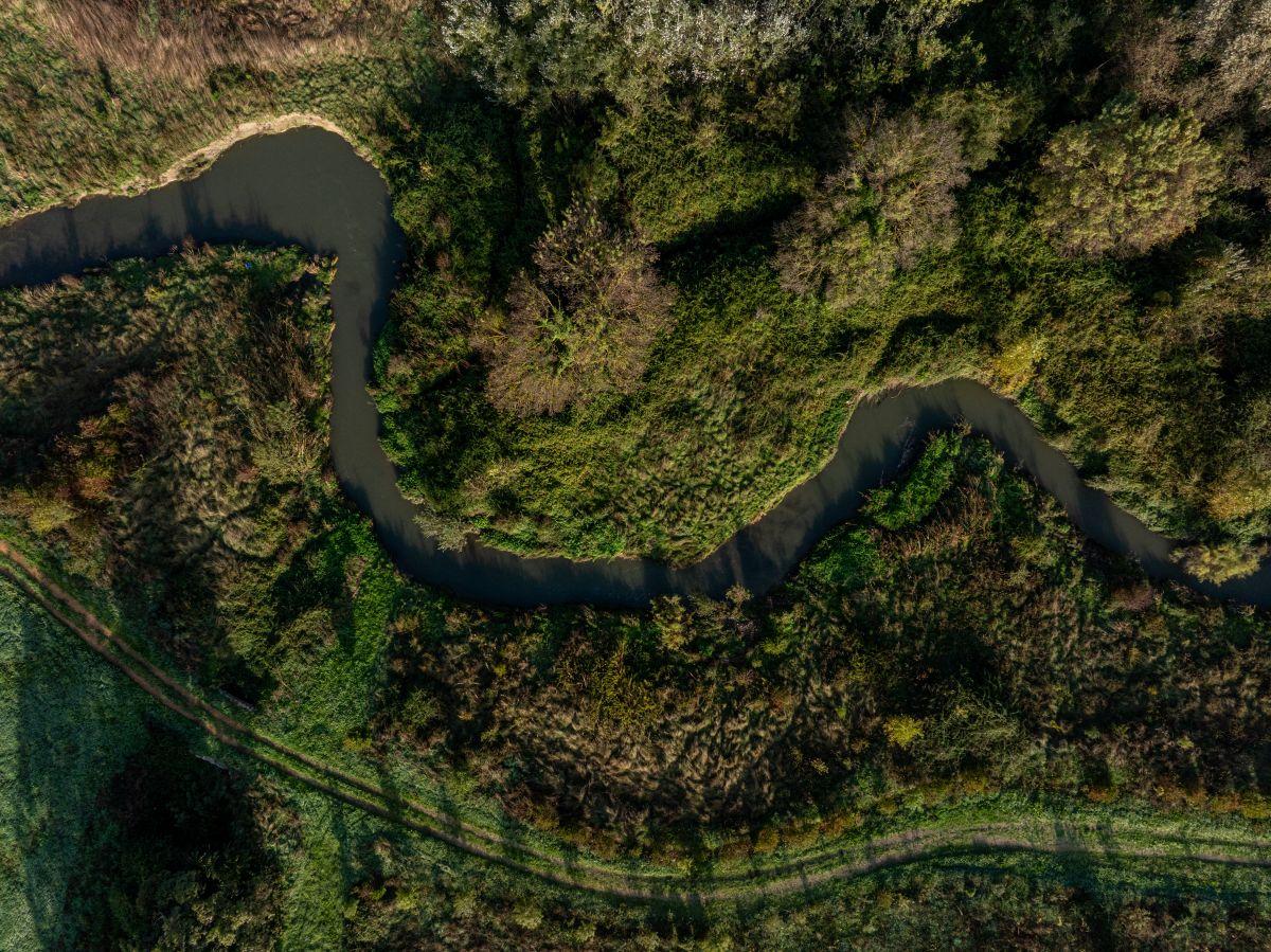 Cours d'eau du Vistre - Caissargues