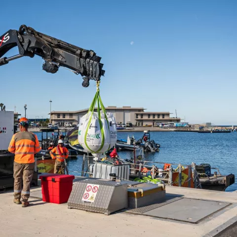 Illustration of Un bassin nautique remanié à Marseille